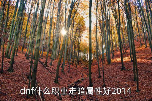 dnf什么职业走暗属性好2014