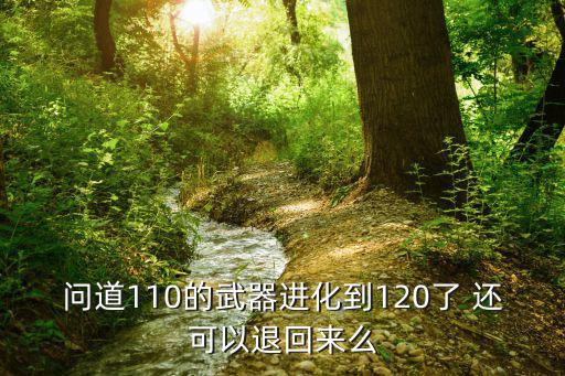 问道110的武器进化到120了 还可以退回来么