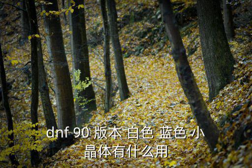 dnf 90 版本 白色 蓝色 小晶体有什么用