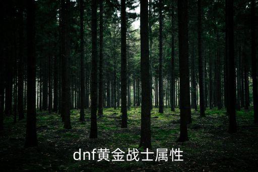 dnf黄金战士属性