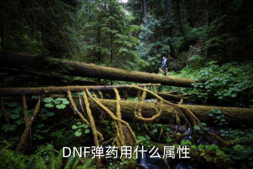 DNF弹药用什么属性