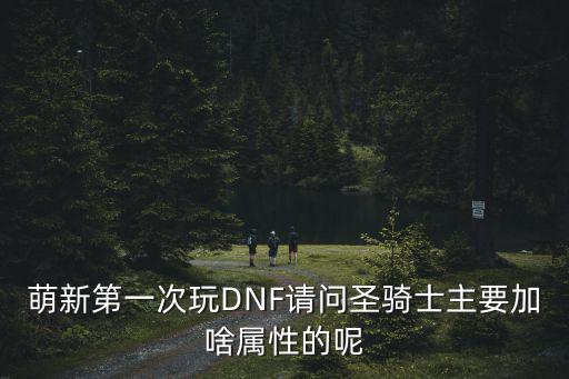 萌新第一次玩DNF请问圣骑士主要加啥属性的呢