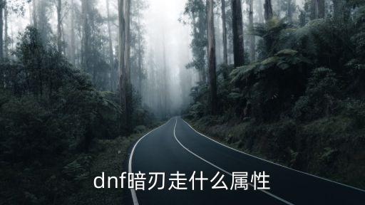 dnf暗刃走什么属性