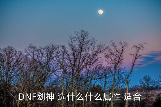 DNF剑神 选什么什么属性 适合