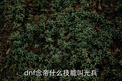 dnf念帝技能加什么属性，DNF念帝一般推什么属性