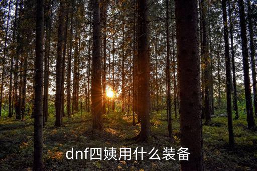 dnf四姨用什么装备