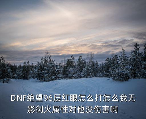 DNF绝望96层红眼怎么打怎么我无影剑火属性对他没伤害啊