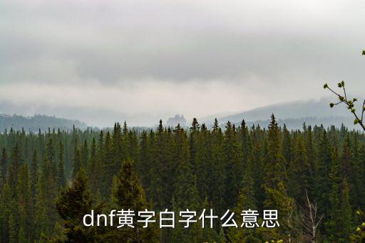 dnf黄字白字什么意思