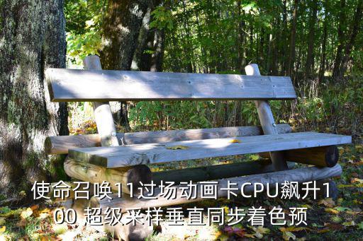 使命召唤11过场动画卡CPU飙升100 超级采样垂直同步着色预