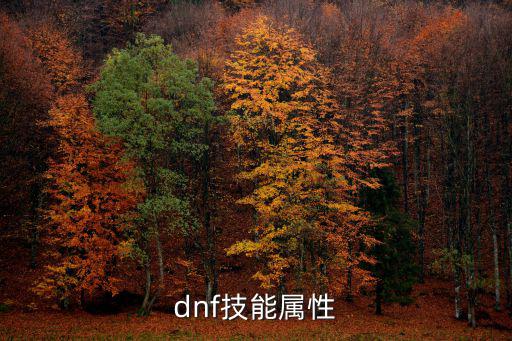 dnf技能带属性什么意思，dnf技能属性