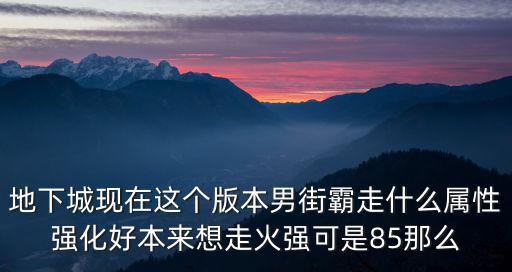 dnf男街霸什么属性强化，地下城现在这个版本男街霸走什么属性强化好本来想走火强可是85那么