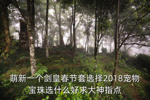 萌新一个剑皇春节套选择2018宠物宝珠选什么好求大神指点