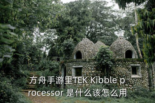 方舟手游里TEK Kibble processor 是什么该怎么用