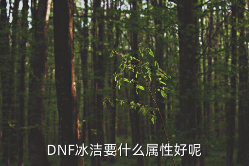 DNF冰洁要什么属性好呢