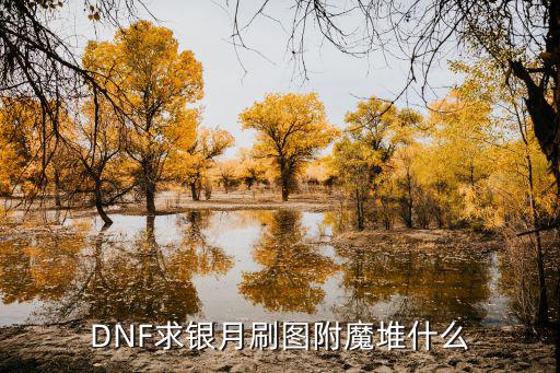 DNF求银月刷图附魔堆什么