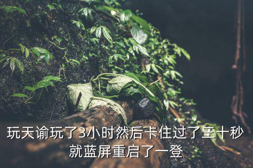 玩天谕玩了3小时然后卡住过了三十秒就蓝屏重启了一登