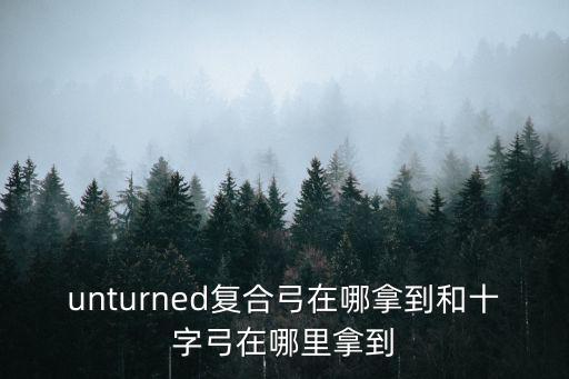 unturned复合弓在哪拿到和十字弓在哪里拿到