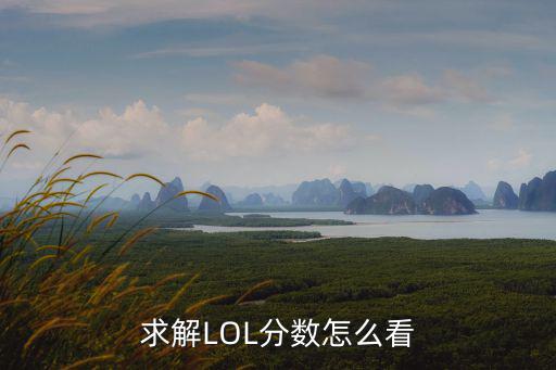 求解LOL分数怎么看