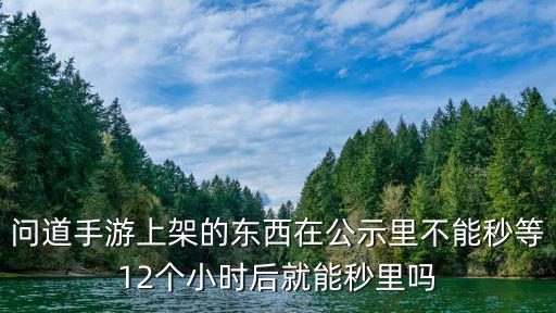 问道手游上架的东西在公示里不能秒等12个小时后就能秒里吗