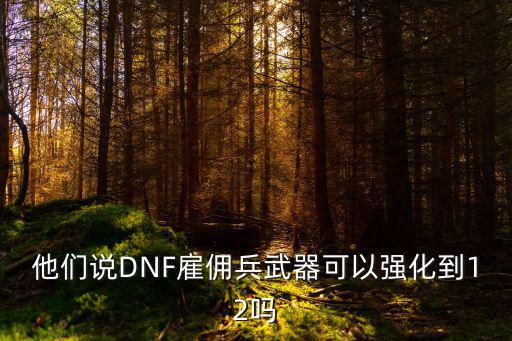 他们说DNF雇佣兵武器可以强化到12吗