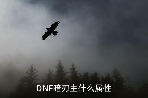 DNF暗刃主什么属性