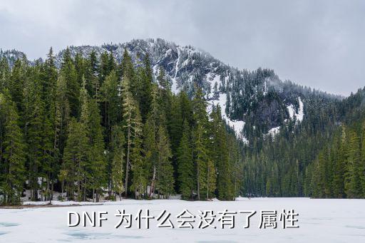 DNF 为什么会没有了属性