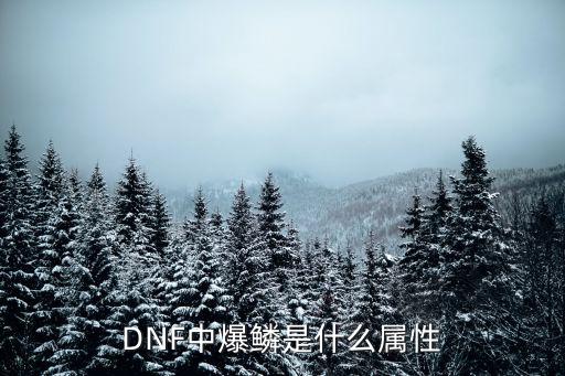 DNF中爆鳞是什么属性