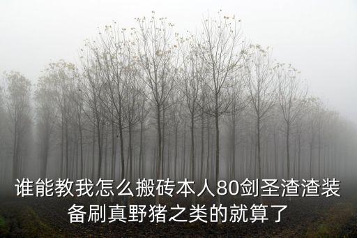 谁能教我怎么搬砖本人80剑圣渣渣装备刷真野猪之类的就算了