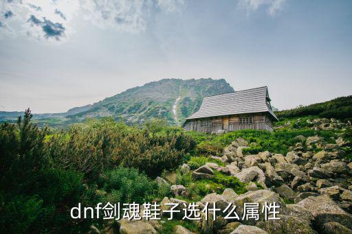 dnf剑魂鞋子选什么属性