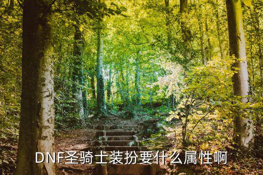 DNF圣骑士装扮要什么属性啊