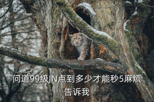 问道手游99级怎么样秒5，问道人物99级时带技能几的手能秒五封五