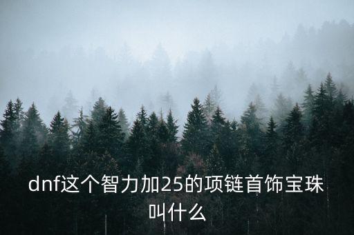 dnf这个智力加25的项链首饰宝珠叫什么