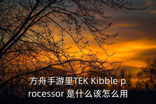 方舟手游里TEK Kibble processor 是什么该怎么用