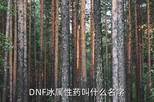 DNF冰属性药叫什么名字