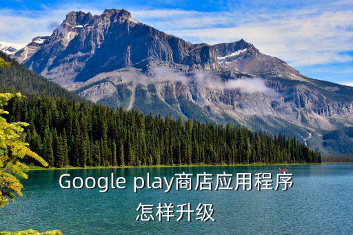 Google play商店应用程序怎样升级