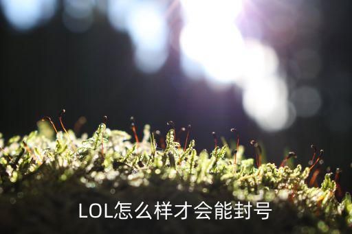 LOL怎么样才会能封号