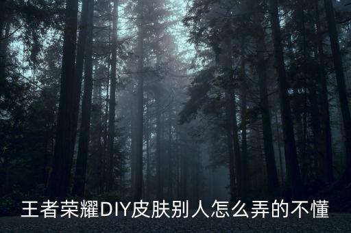 王者荣耀DIY皮肤别人怎么弄的不懂