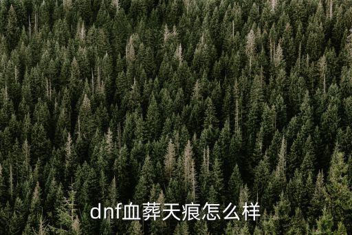 dnf血葬天痕什么属性，DNF血葬天痕属性是多少