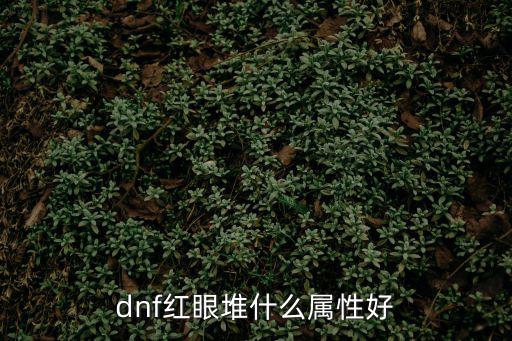 dnf红眼堆什么属性好