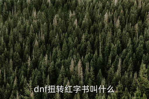 dnf扭转红字书叫什么