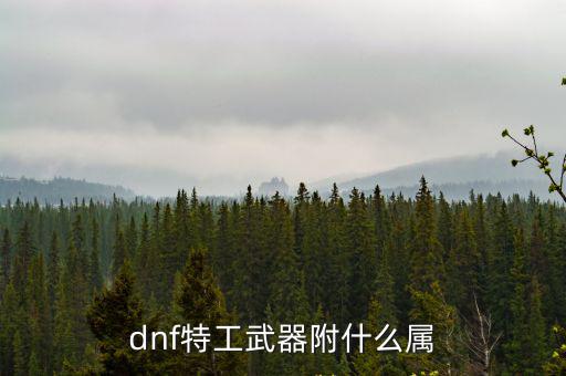 dnf特工武器附什么属