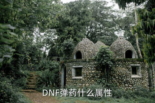 DNF弹药什么属性