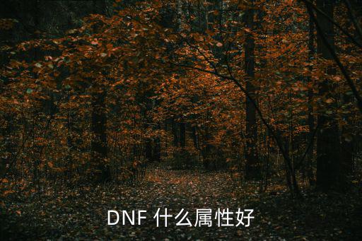 DNF 什么属性好