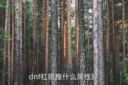 dnf红眼推什么属性好