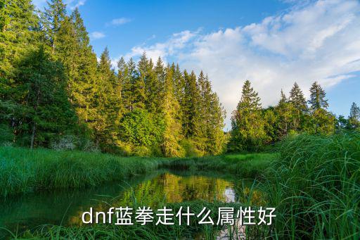 dnf蓝拳走什么属性好