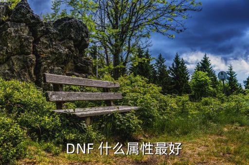 DNF 什么属性最好