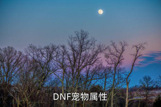 DNF宠物属性