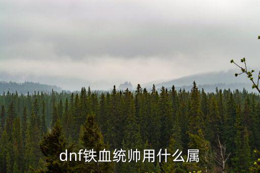 dnf铁血统帅用什么属