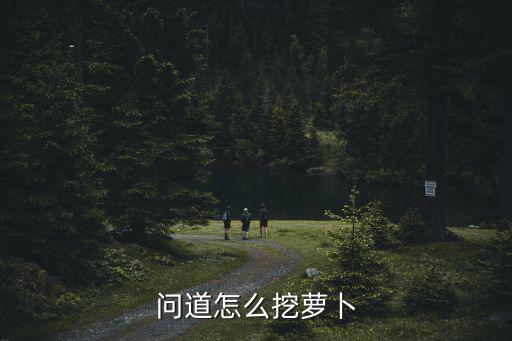 问道手游怎么挖不到萝卜，问道怎么挖萝卜