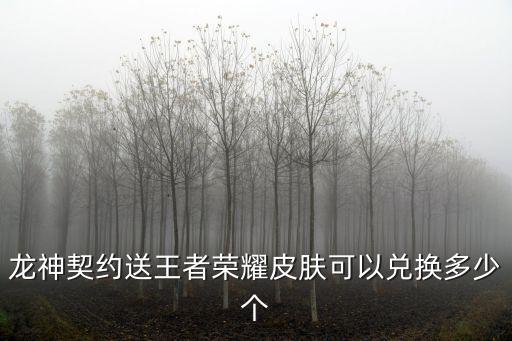 龙神契约送王者荣耀皮肤可以兑换多少个